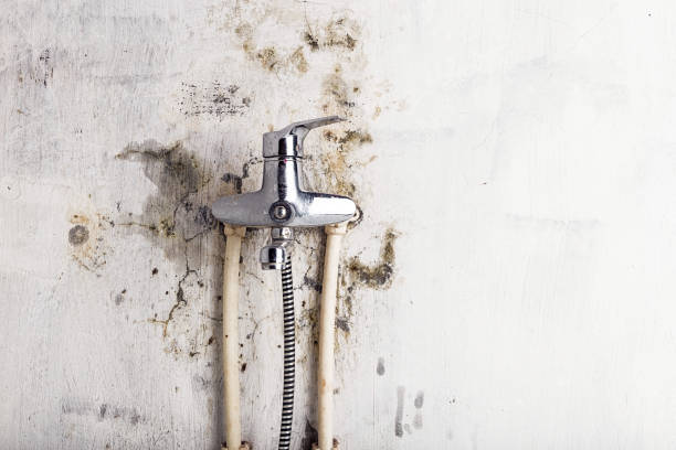 Best Water Damage Restoration  in Logan, UT