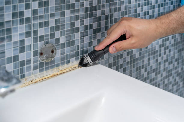 Best Best Mold Removal Companies  in Logan, UT