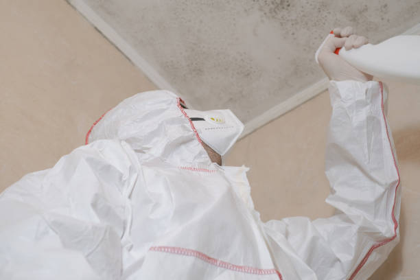 Logan, UT Mold Removal Company